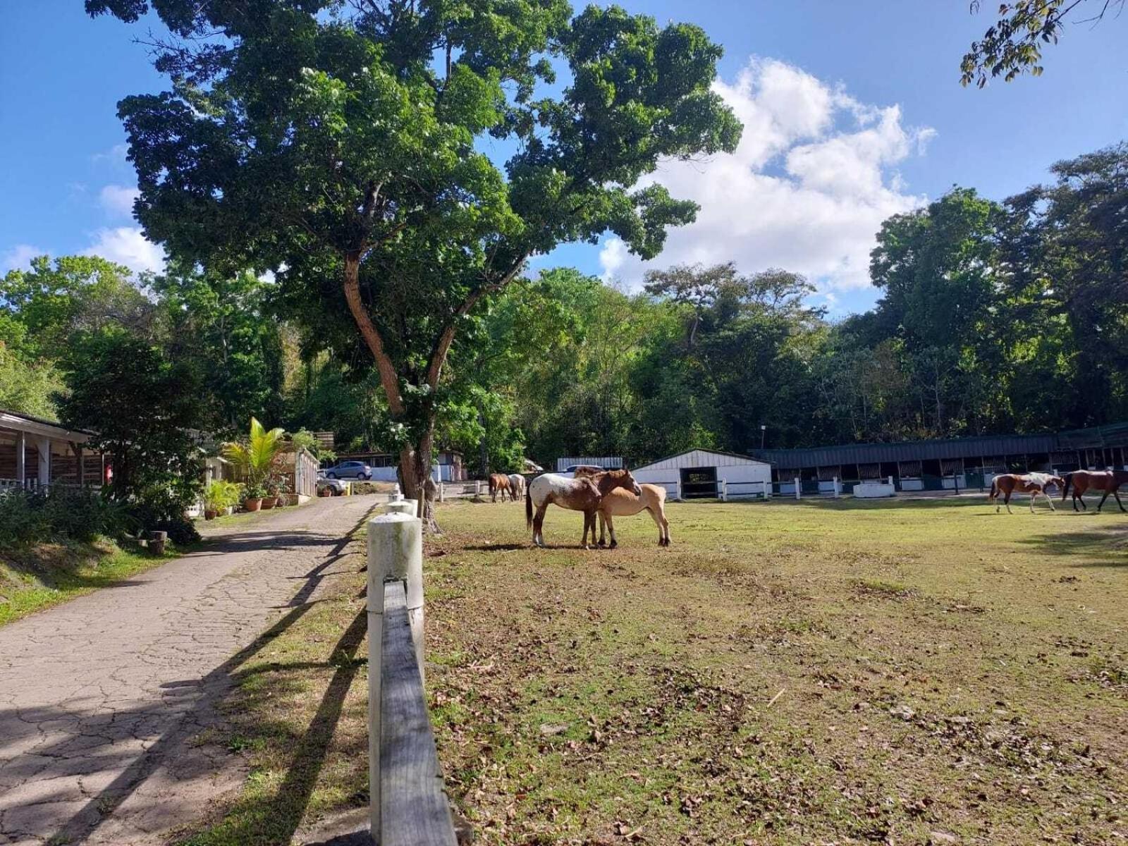 Ranch Black Horse Villa เลส์ทรัวส์-ซีเลต์ ภายนอก รูปภาพ