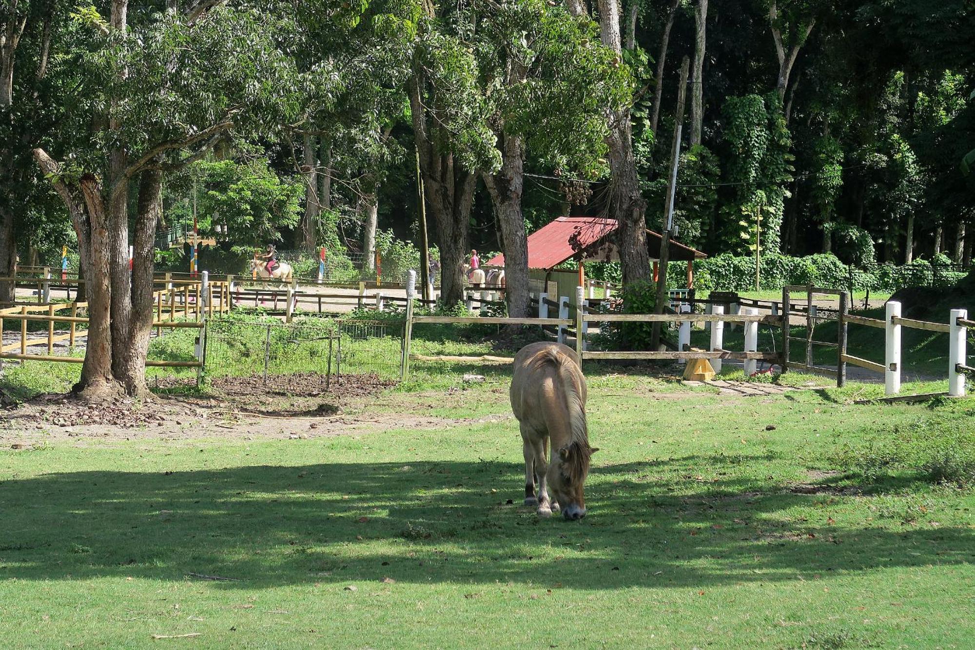 Ranch Black Horse Villa เลส์ทรัวส์-ซีเลต์ ภายนอก รูปภาพ