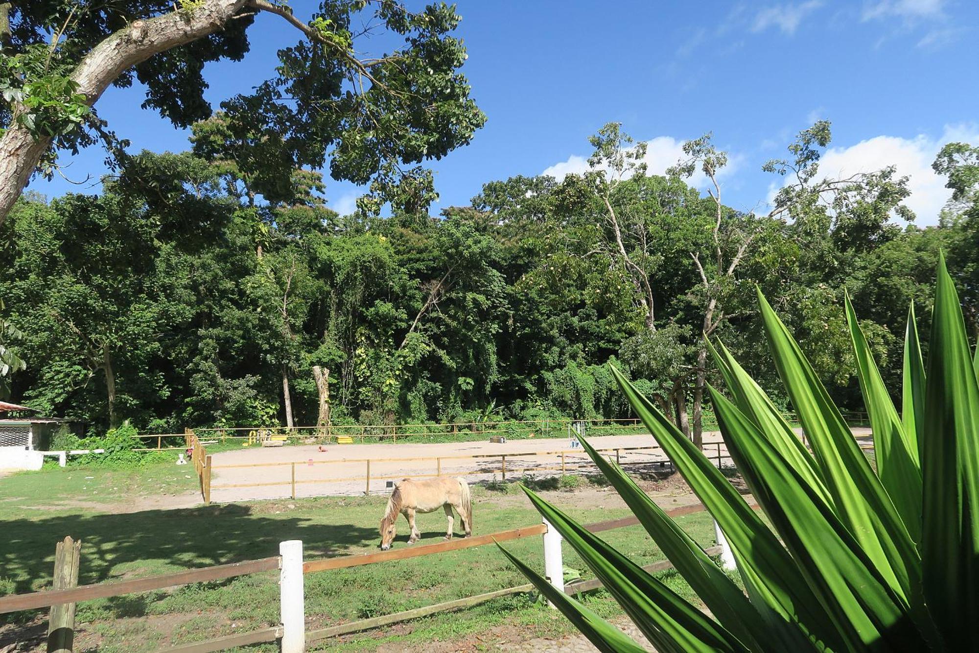 Ranch Black Horse Villa เลส์ทรัวส์-ซีเลต์ ภายนอก รูปภาพ